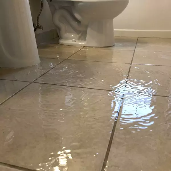 Expert Flooded Bathroom Restoration in Palm Beach Gardens, FL 