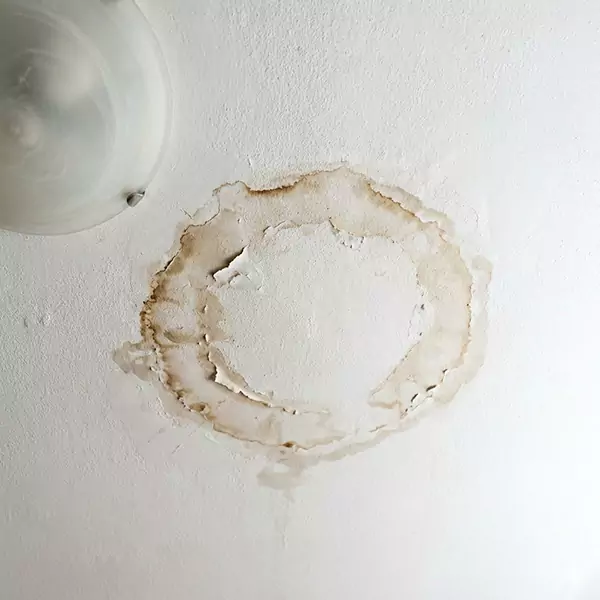 Leaking Ceiling Repair in Palm Beach Gardens, FL 