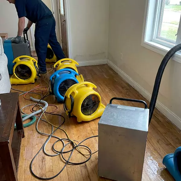 Water Mitigation Services in Palm Beach Gardens, FL