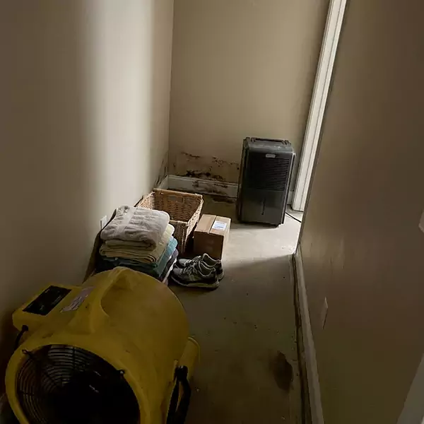 Expert Water Remediation in Palm Beach Gardens, FL 