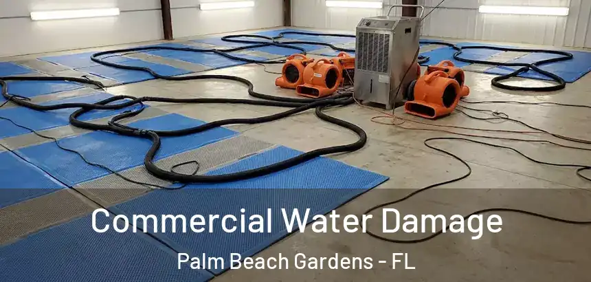  Commercial Water Damage Palm Beach Gardens - FL