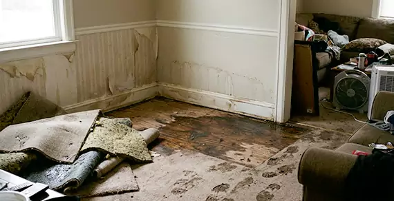Why Choose Palm Beach Gardens Water Fix For Water Damage Restoration Services in Palm Beach Gardens, FL?