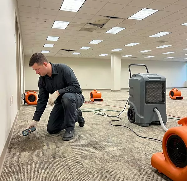 Why Businesses Choose Palm Beach Gardens Water Fix for Commercial Water Damage in Palm Beach Gardens, FL?